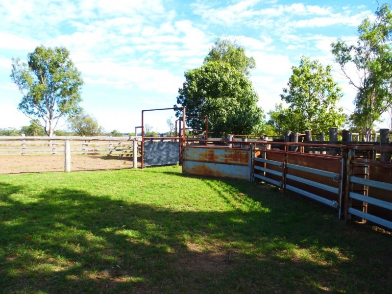 ” WONGA “, Jandowae QLD 4410