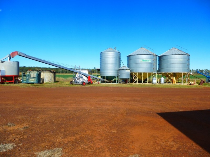 ” WONGA “, Jandowae QLD 4410
