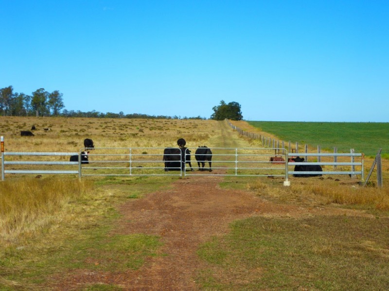 ” WONGA “, Jandowae QLD 4410