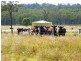 ” WONGA “, Jandowae QLD 4410