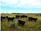 ” WONGA “, Jandowae QLD 4410