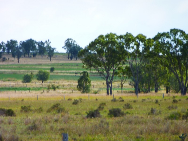 ” WONGA “, Jandowae QLD 4410