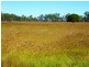 ” ALICE DOWNS “, Jandowae QLD 4410