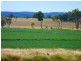 ” ALICE DOWNS “, Jandowae QLD 4410