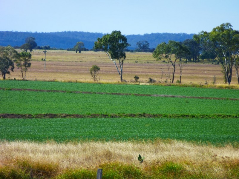 ” ALICE DOWNS “, Jandowae QLD 4410