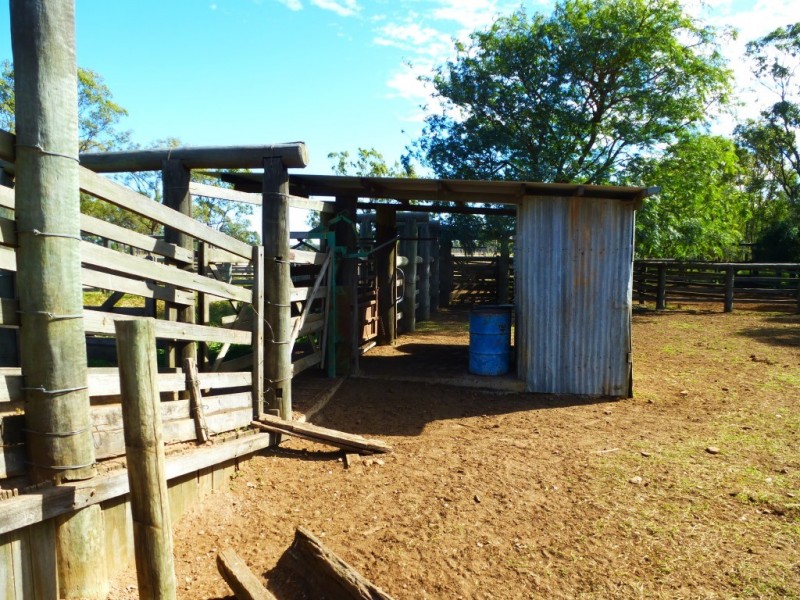 ” ALICE DOWNS “, Jandowae QLD 4410