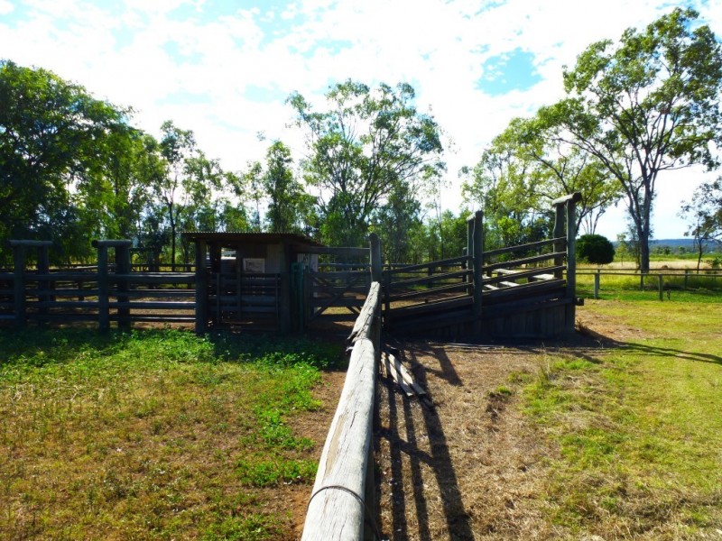 ” ALICE DOWNS “, Jandowae QLD 4410