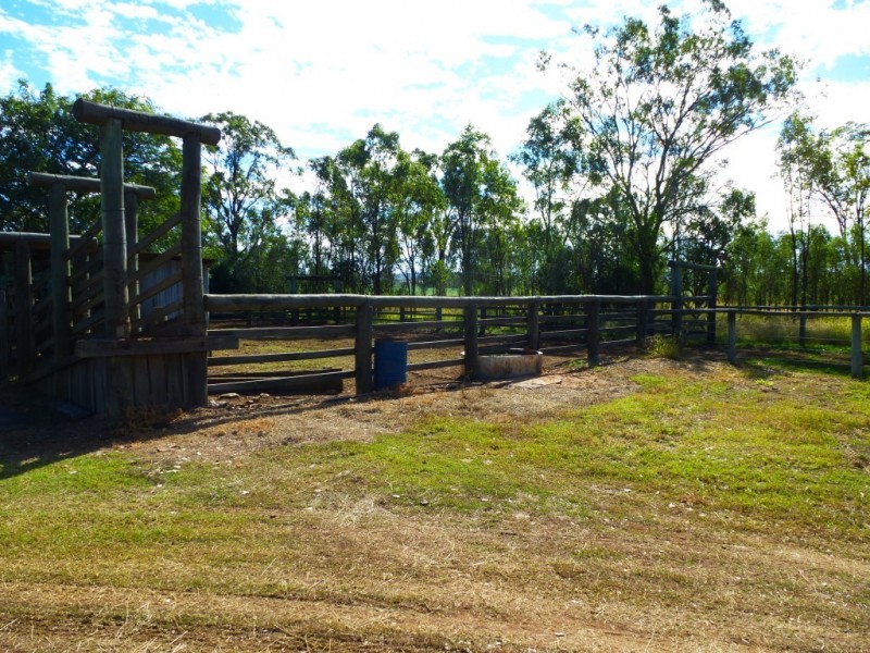 ” ALICE DOWNS “, Jandowae QLD 4410