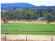 ” ALICE DOWNS “, Jandowae QLD 4410