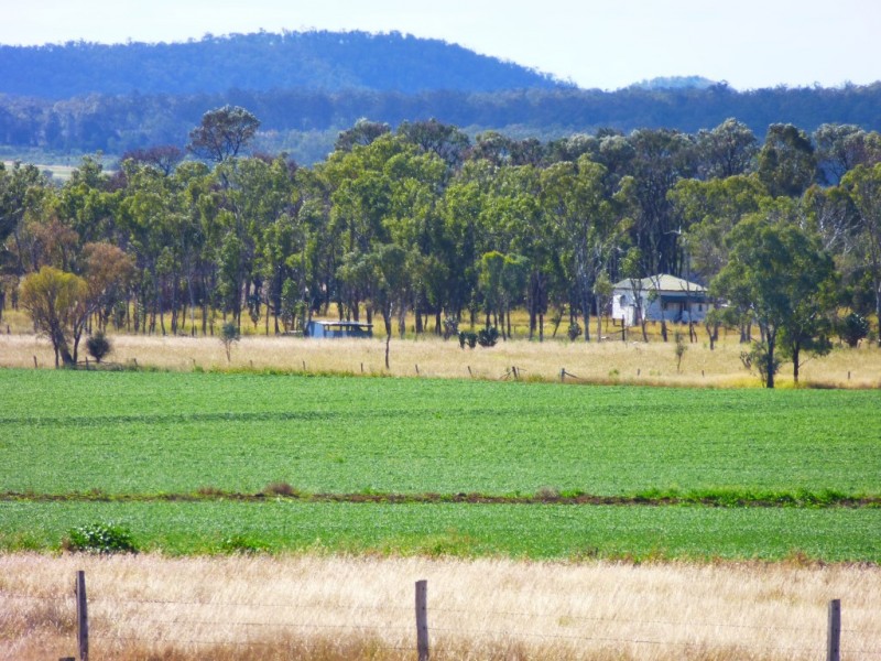 ” ALICE DOWNS “, Jandowae QLD 4410