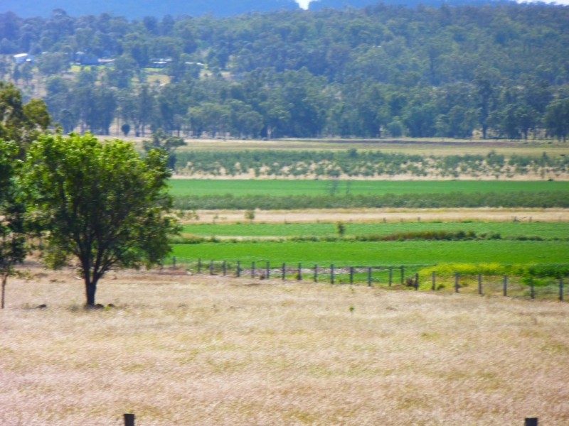 ” ALICE DOWNS “, Jandowae QLD 4410