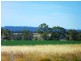 ” ALICE DOWNS “, Jandowae QLD 4410