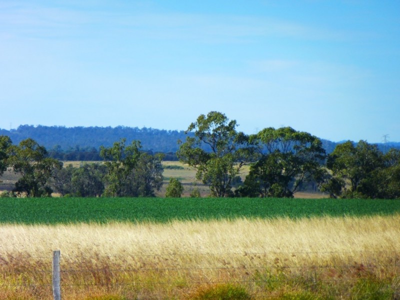 ” ALICE DOWNS “, Jandowae QLD 4410