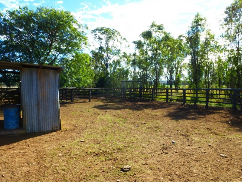 ” ALICE DOWNS “, Jandowae QLD 4410