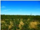 ” ALICE DOWNS “, Jandowae QLD 4410