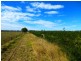 ” ALICE DOWNS “, Jandowae QLD 4410