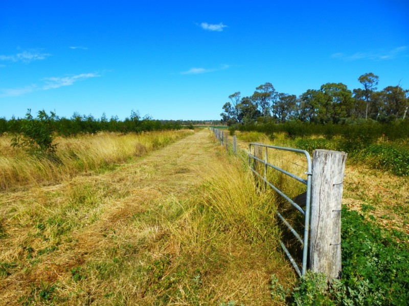 ” ALICE DOWNS “, Jandowae QLD 4410
