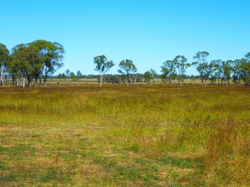 ” ALICE DOWNS “, Jandowae QLD 4410