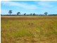 ” ALICE DOWNS “, Jandowae QLD 4410