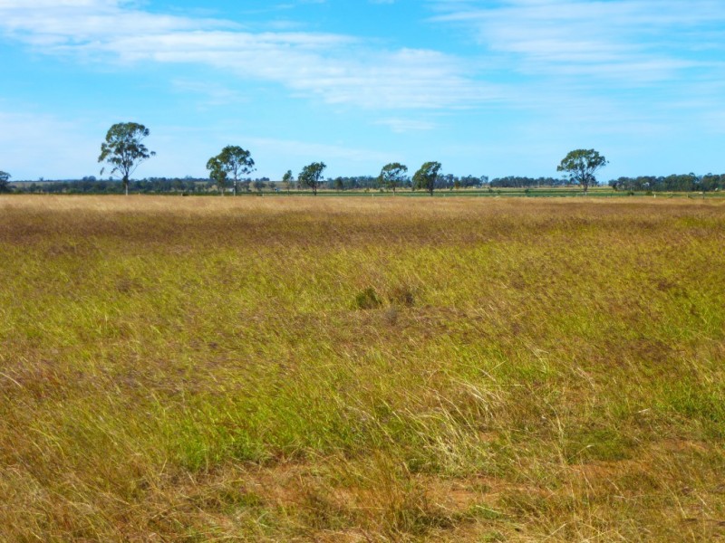 ” ALICE DOWNS “, Jandowae QLD 4410