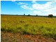 ” ALICE DOWNS “, Jandowae QLD 4410