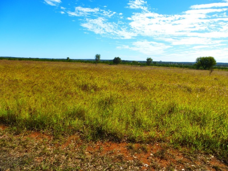 ” ALICE DOWNS “, Jandowae QLD 4410