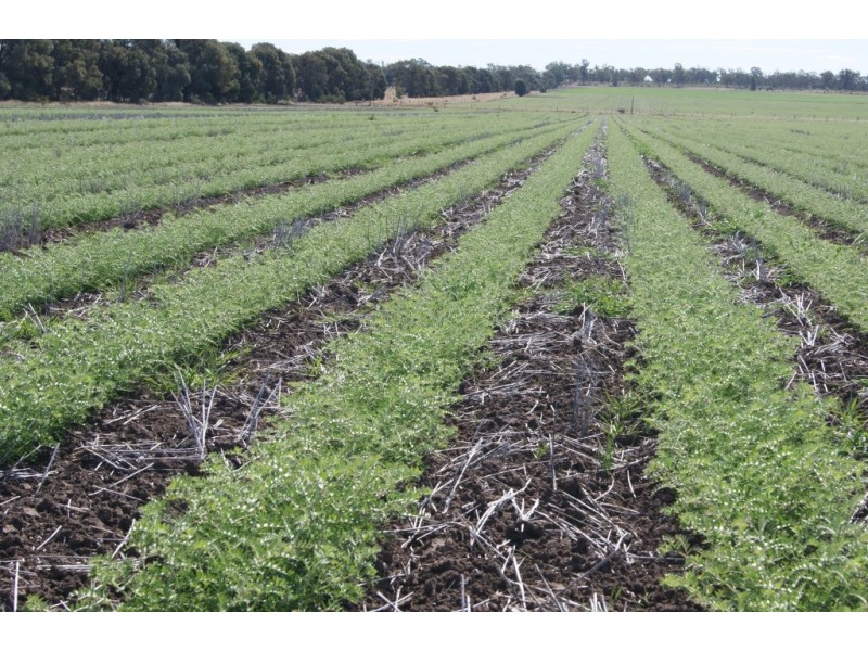 ” KILLARA “, Goranba QLD 4421