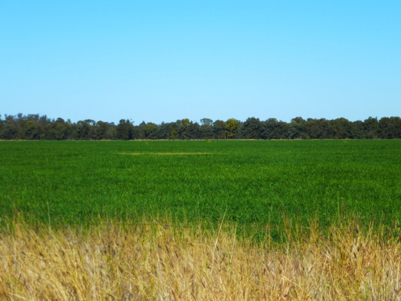 ” KILLARA “, Goranba QLD 4421