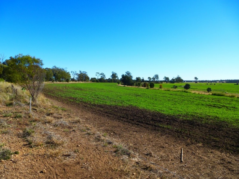 ” KILLARA “, Goranba QLD 4421