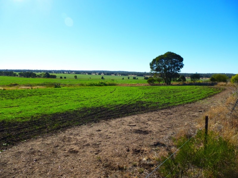 ” KILLARA “, Goranba QLD 4421