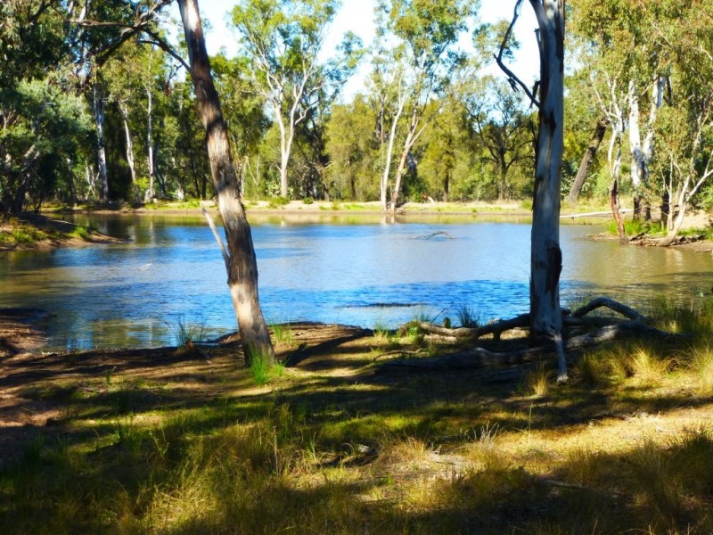 ” KILLARA “, Goranba QLD 4421