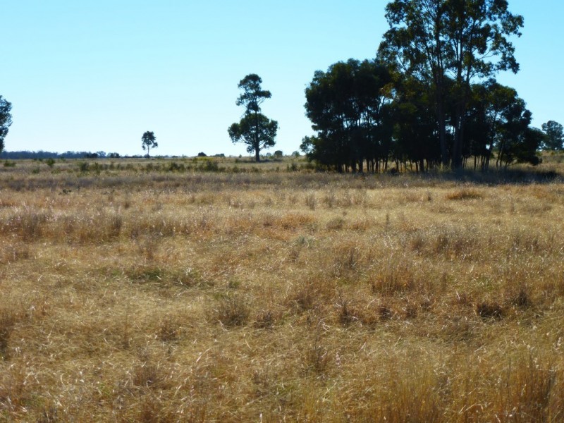 ” KILLARA “, Goranba QLD 4421