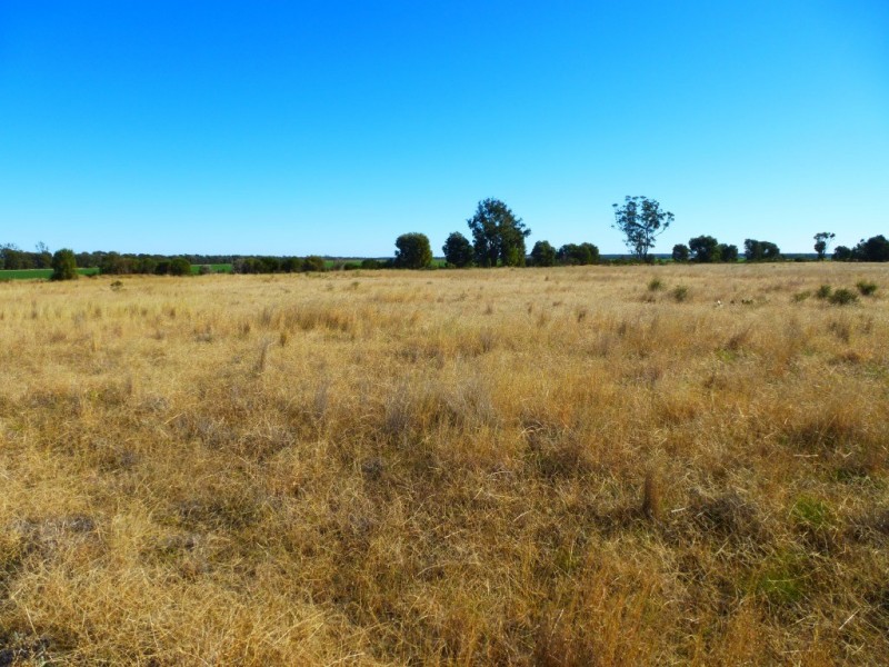 ” KILLARA “, Goranba QLD 4421