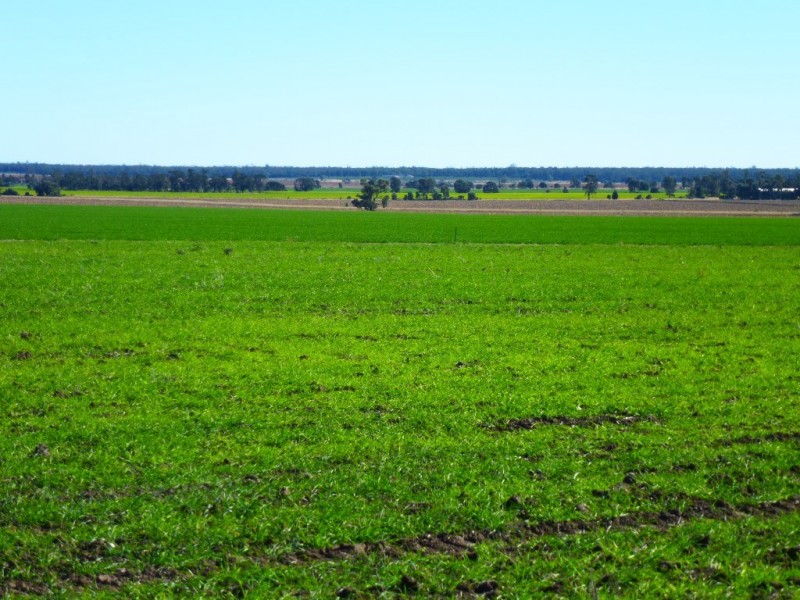 ” KILLARA “, Goranba QLD 4421