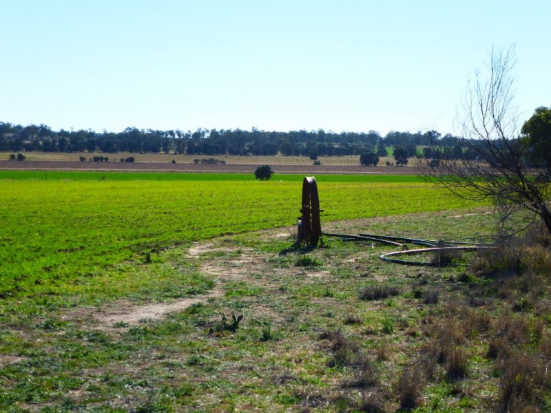 ” KILLARA “, Goranba QLD 4421