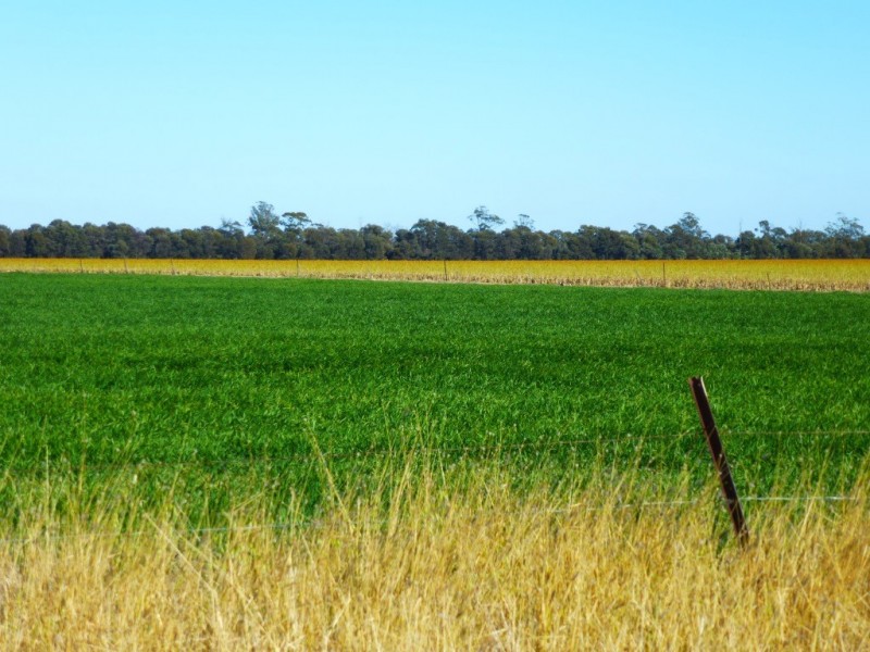 ” KILLARA “, Goranba QLD 4421