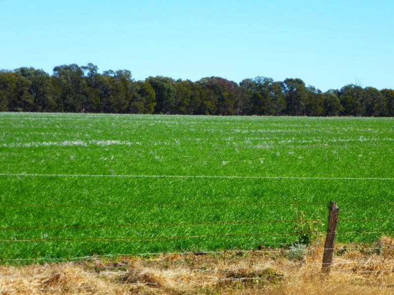 ” KILLARA “, Goranba QLD 4421