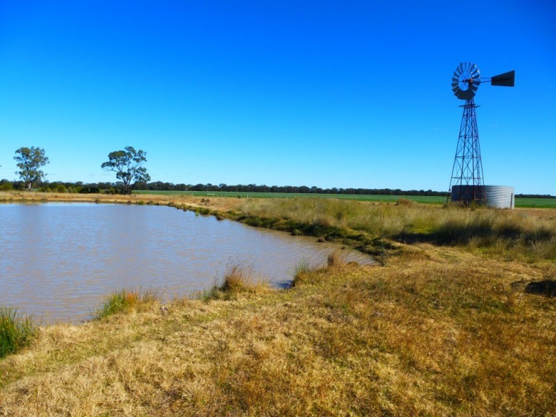 ” KILLARA “, Goranba QLD 4421