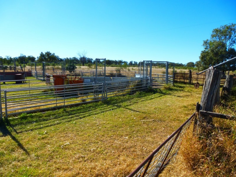 ” KILLARA “, Goranba QLD 4421