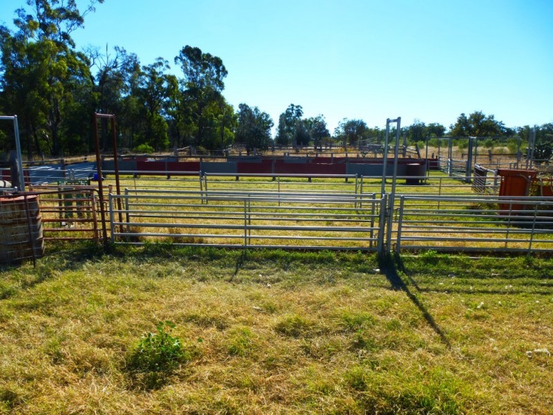 ” KILLARA “, Goranba QLD 4421