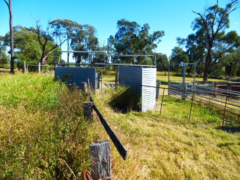 ” KILLARA “, Goranba QLD 4421