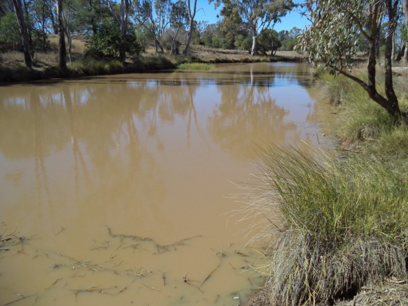 ‘ Kilrush ‘, Condamine QLD 4416