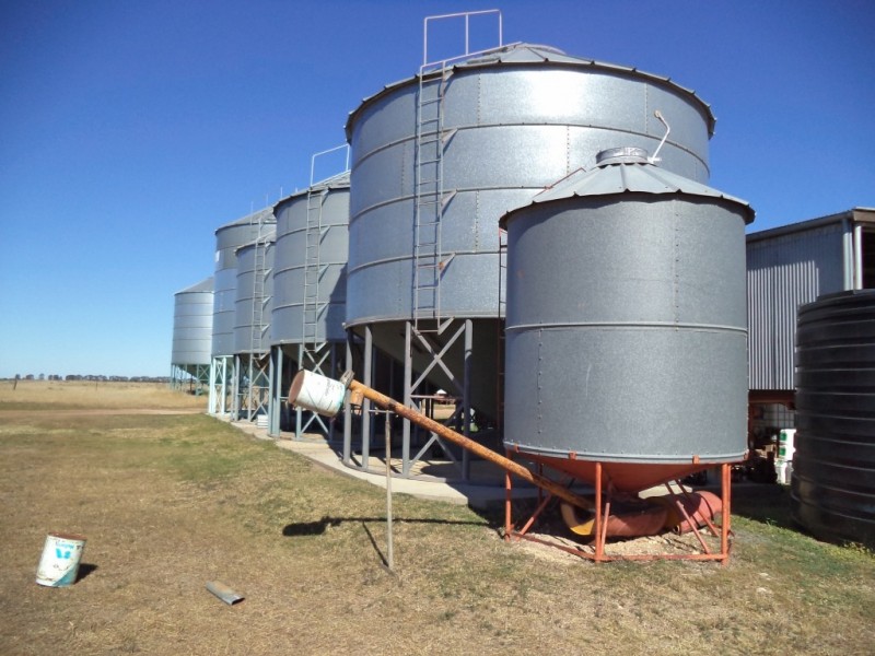 ‘ Kilrush ‘, Condamine QLD 4416