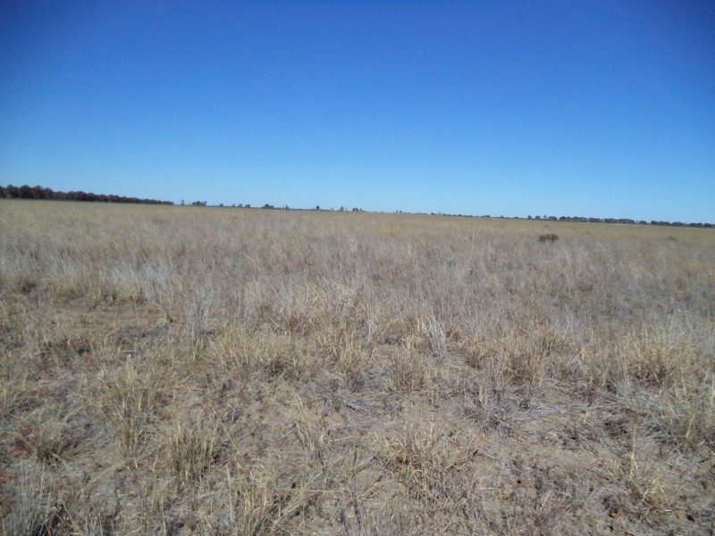 ‘ Kilrush ‘, Condamine QLD 4416