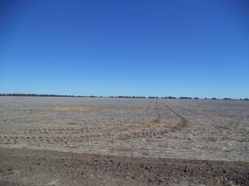 ‘ Kilrush ‘, Condamine QLD 4416