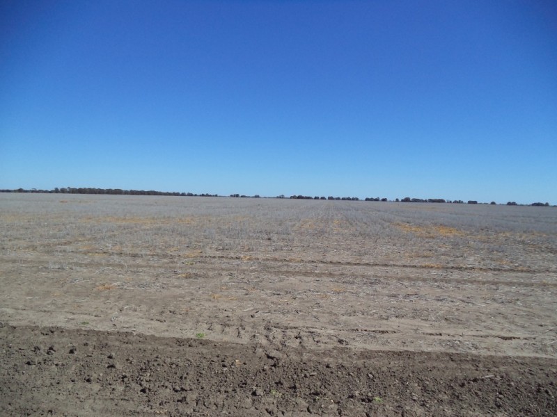 ‘ Kilrush ‘, Condamine QLD 4416