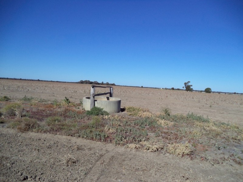 ‘ Kilrush ‘, Condamine QLD 4416