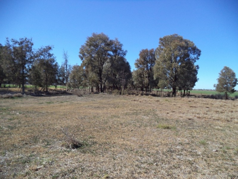 ‘ Kilrush ‘, Condamine QLD 4416