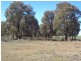 ‘ Kilrush ‘, Condamine QLD 4416