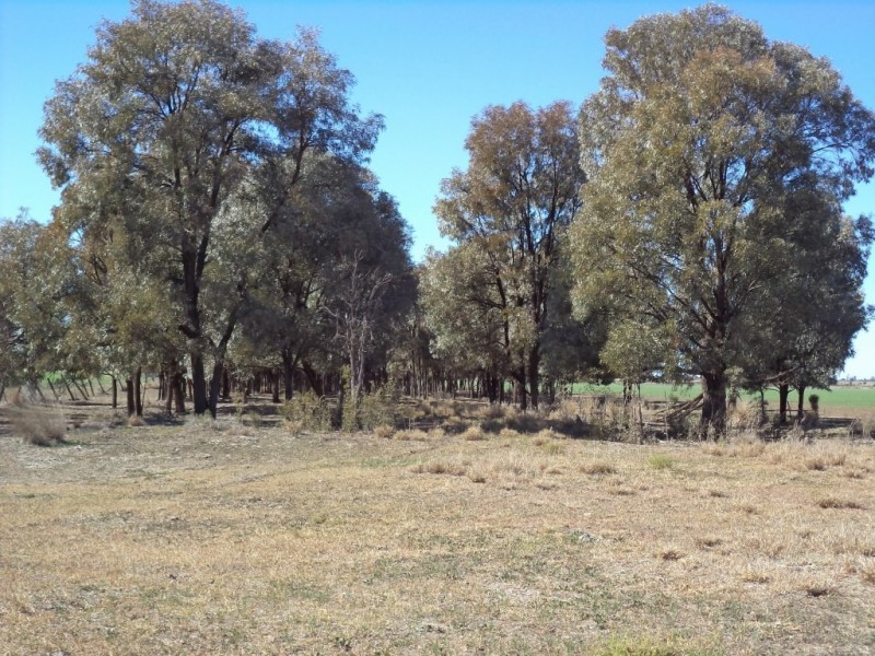 ‘ Kilrush ‘, Condamine QLD 4416